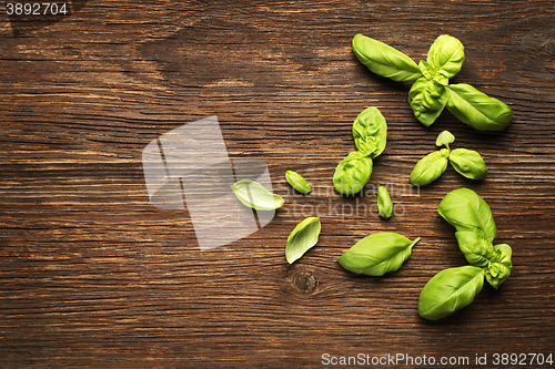 Image of Basil leaves