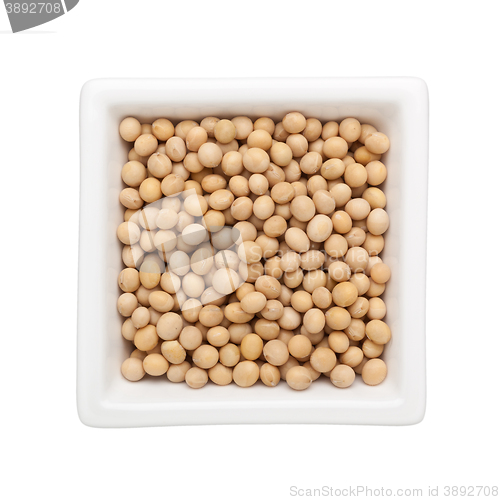 Image of Soy bean