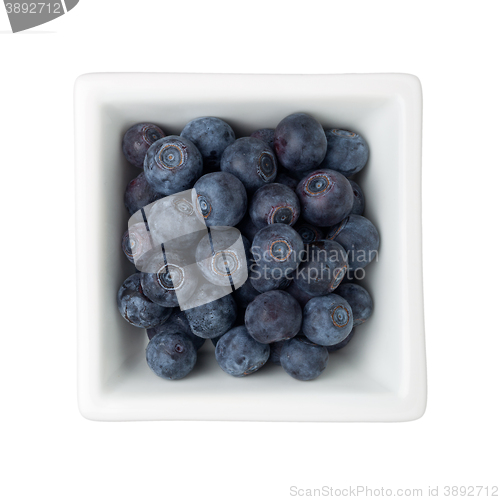 Image of Blueberry