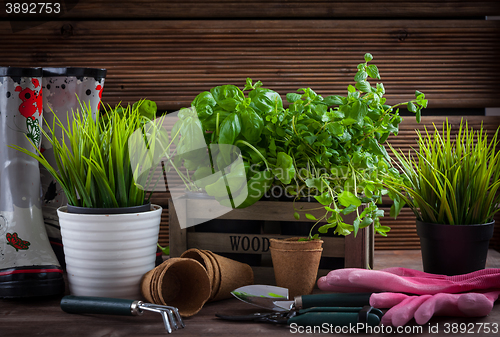 Image of Gardening