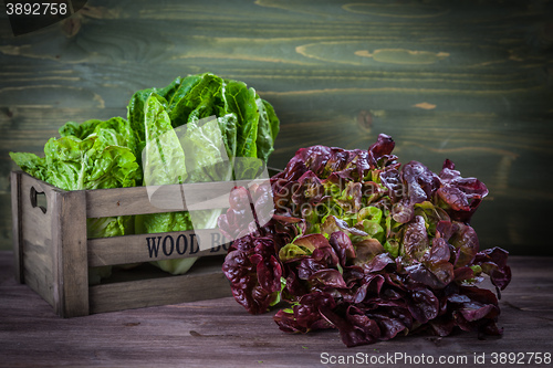 Image of Assorted lettuce on wooden table