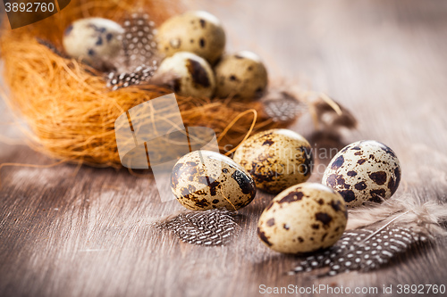 Image of Easter eggs with nest