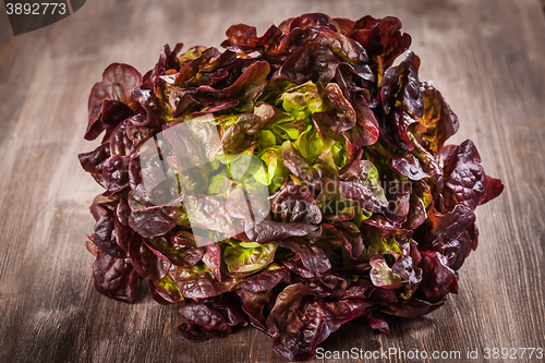 Image of Assorted lettuce on wooden table