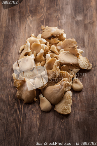 Image of Fresh organic oyster mushrooms on a wooden table