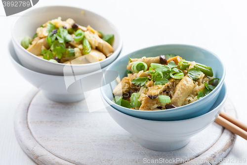 Image of Rice with chicken meat and vegetable