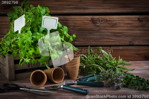 Image of Gardening