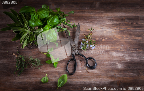 Image of Herbs