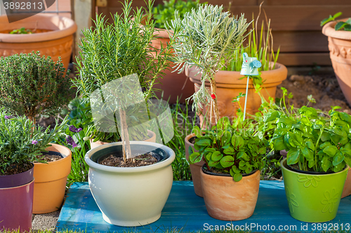 Image of Flower pots