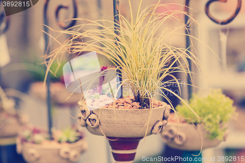 Image of Flower pots in vintage style