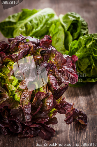 Image of Assorted lettuce on wooden table