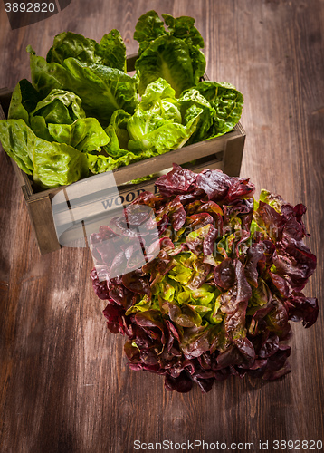 Image of Assorted lettuce on wooden table