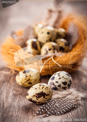 Image of Easter eggs with nest