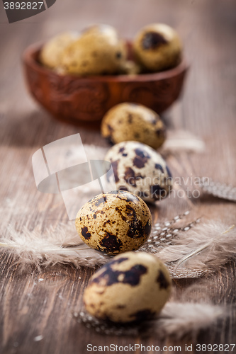 Image of Easter eggs with nest