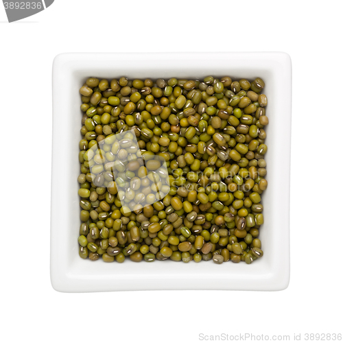 Image of Mung bean