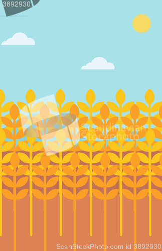 Image of Background of wheat field.