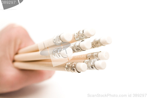 Image of Hand holding wooden pencils with erasers