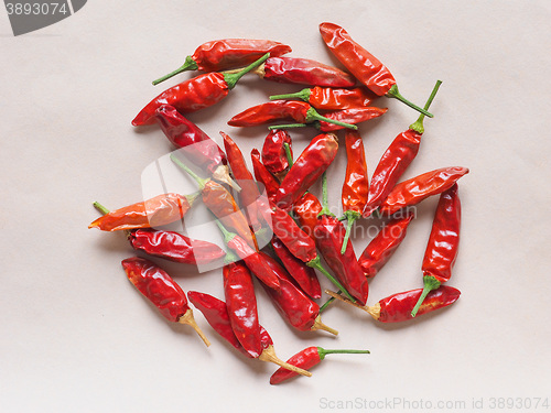 Image of Hot chili pepper vegetables