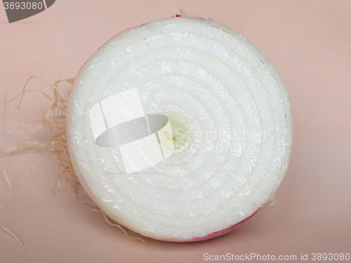 Image of Onion vegetable sliced