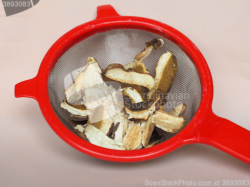 Image of Porcini mushroom in colander