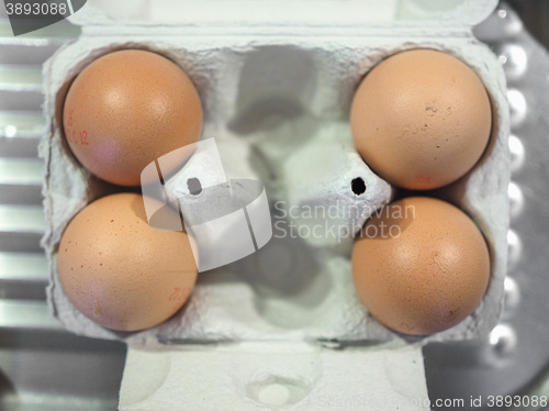 Image of Eggs in egg box