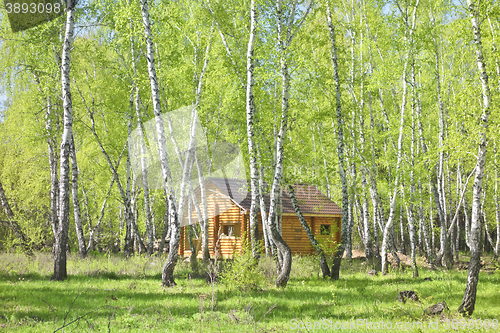 Image of house in forest