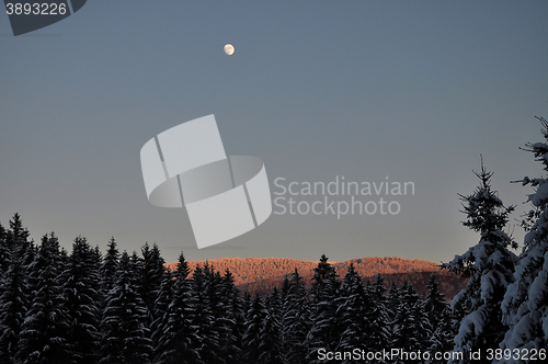 Image of Moonrise in winter scenery