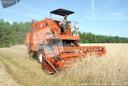 Image of red combine harvester