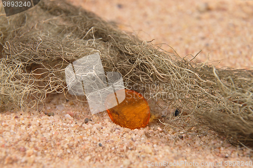 Image of Amber on beach