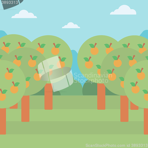 Image of Background of orange trees.