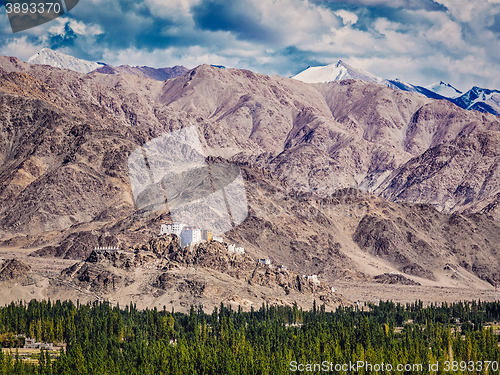 Image of Thiksey monastery. Ladakh, India