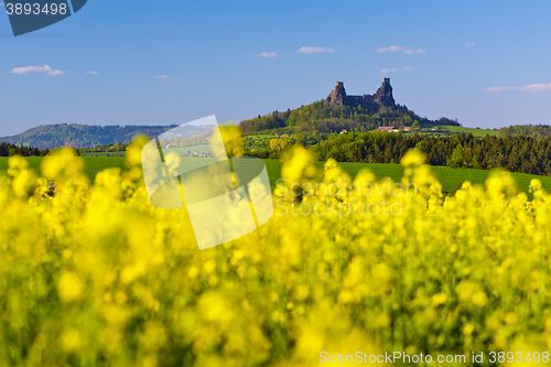 Image of Trosky Castle, Czech Republic