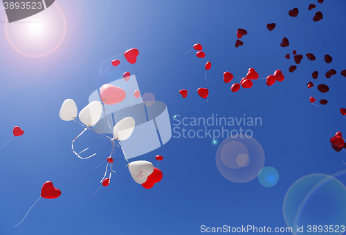 Image of Balloon Hearts