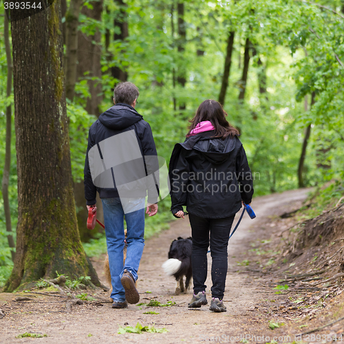 Image of Couple walking their two dogs in forest