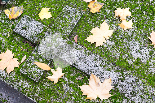 Image of Christian grave in moss and autumn leaves.