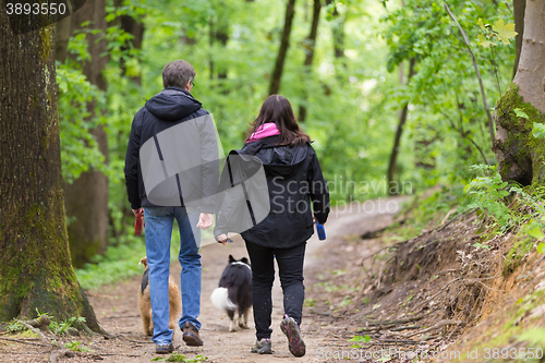 Image of Couple walking their two dogs in forest