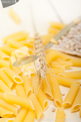 Image of Italian pasta penne with wheat