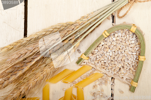 Image of Italian pasta penne with wheat