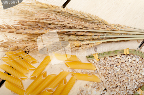 Image of Italian pasta penne with wheat