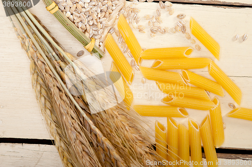 Image of Italian pasta penne with wheat