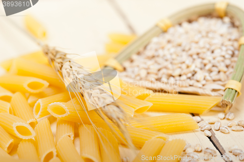 Image of Italian pasta penne with wheat