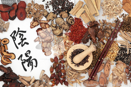 Image of Yin and Yang Chinese Herbs