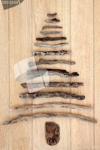 Image of Driftwood Tree on Oak Wood