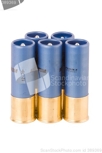 Image of shotgun shells