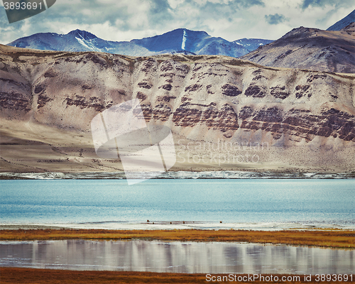 Image of Salt lake Tso Kar in Himalayas. Ladakh, India