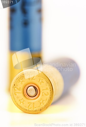 Image of shotgun shells