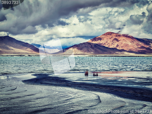 Image of Salt lake Tso Kar in Himalayas. Ladakh, India