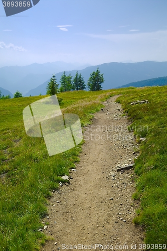 Image of Hilly Landscape Path