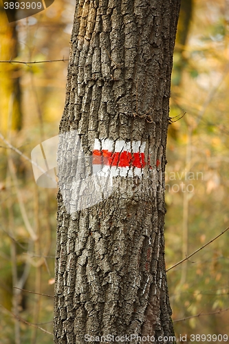 Image of Hiking trail signs