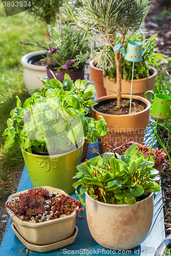 Image of Flower pots