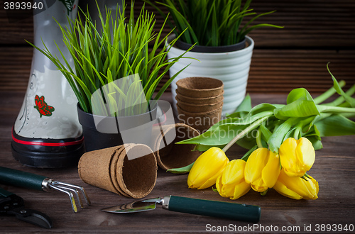 Image of Gardening